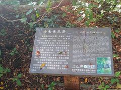 -海口火山口国家地质公园