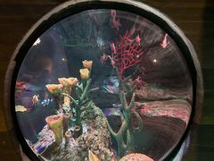 -沈阳海洋探索中心