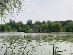 -七桥瓮公园
