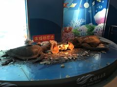 -苏州海洋馆