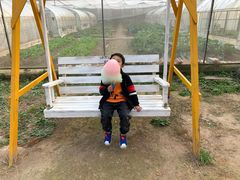 -前小桔亲子创意农场·草莓采摘·露营烧烤