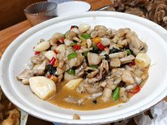 干锅牛蛙-旺福(晶都苑店)