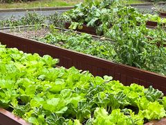 -梧桐人家中国太平国际健康颐养社区