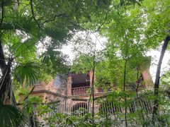 -之江大学-旧址