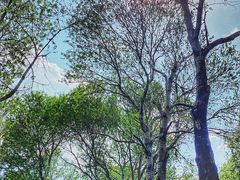 -长春市南湖公园