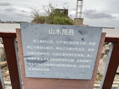 -上海滨江森林公园