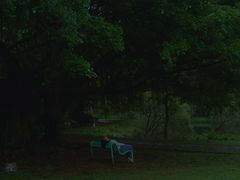 -南沙蒲洲花园