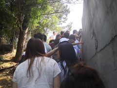 -梦幻奥陶纪景区