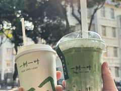 -一树一叶·福建茶档(石鼓路店)