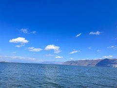 -洱海月湿地公园