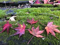 -外滩二十二号艺术中心