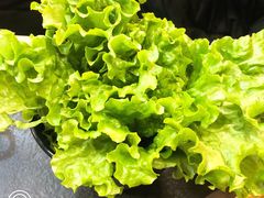 -福福泥炉烤肉(三台子店)
