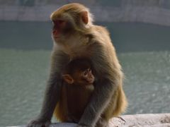 -白帝城·瞿塘峡景区