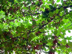 -boundaries籬苑(瑞光创意工厂-贰号院店)