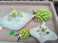 -万达广场(武汉菱角湖店)