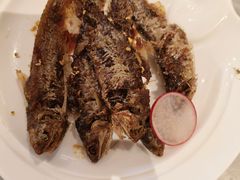 -喜来登由由大酒店九州膳坊中餐厅