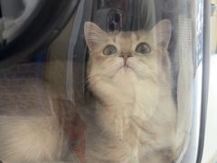 -瑞派蒂凯宠物医院·免疫点·宠保定点