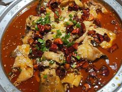 -东来菜馆•手抓海鲜家常菜•海鲜锅贴(鸽子窝店)