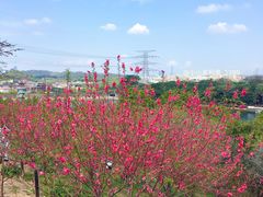 -水濂山森林公园