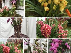 -海心沙亚运公园