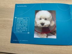 -美联众合动物医院·24h转诊中心