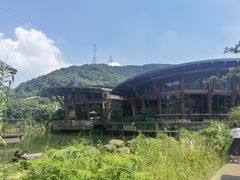 -杭州开元森泊度假乐园