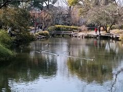 -拙政园