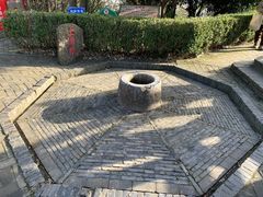 -上海佘山国家森林公园天马山园