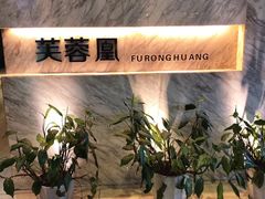 -芙蓉凰花园酒楼
