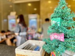 -南澳岛打卡果汁冰公司
