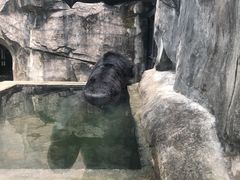 -南昌动物园