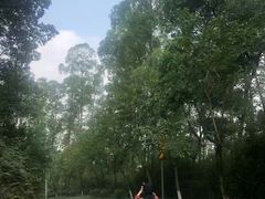 -火炉山森林公园