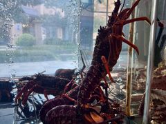 -蒋记海鲜姿造•洋房别墅(星河湾店)