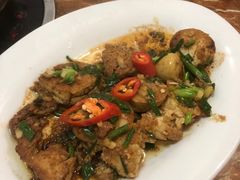 -金砂阿洲鱼册店