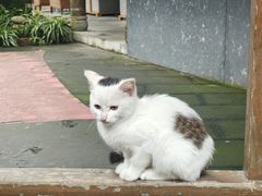 -海窝子古镇