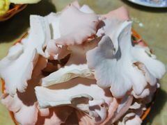 -仙蘑洞