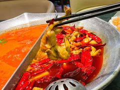 -麻田会 ·鲜活现烹·牛蛙火锅(珠江新城维家思广场店)