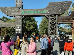 -溱湖国家湿地公园