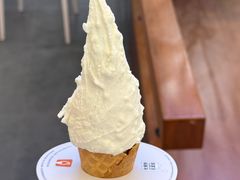 -野人先生Gelato(上海长宁龙之梦店)