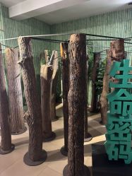 -文旺阁亲子手工DIY木作博物馆