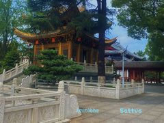 -上海东林寺(金山区)