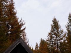 -苏木山森林公园