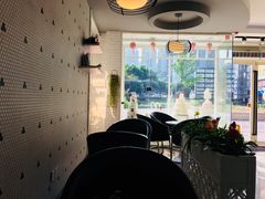 -蒲公英(五里店)
