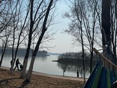 -丁香湖公园