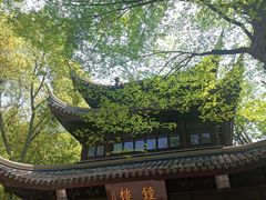 -西园戒幢律寺