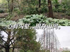 -中山公园