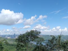 -深圳仙湖植物园