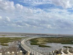 -南汇嘴观海公园