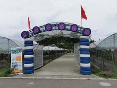 -金谷域澳洲庄园