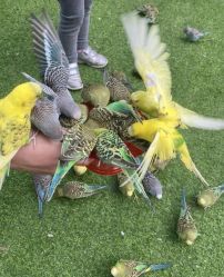 -萌宠亲子动物乐园(槐房万达店)